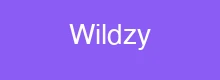 Wildzy logo