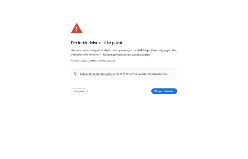 Wild Tokyo – screenshot af forsiden